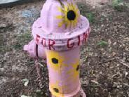 Painted Hydrant Flowers