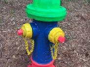 Painted Hydrant Colorful