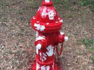 Painted Hydrant Hands of Hope