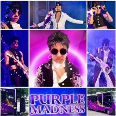 purple madness